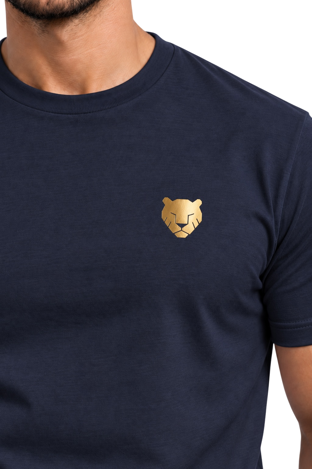 the foundation — navy / gold
