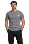 the foundation — grey / gold