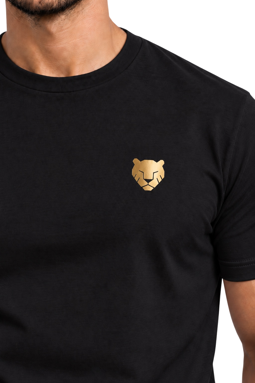 the foundation — black / gold