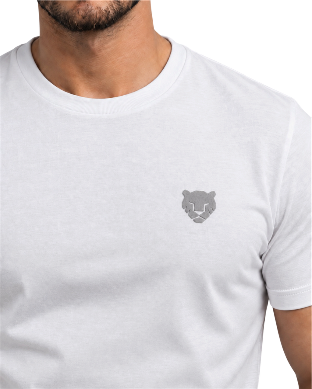 the foundation — white / silver