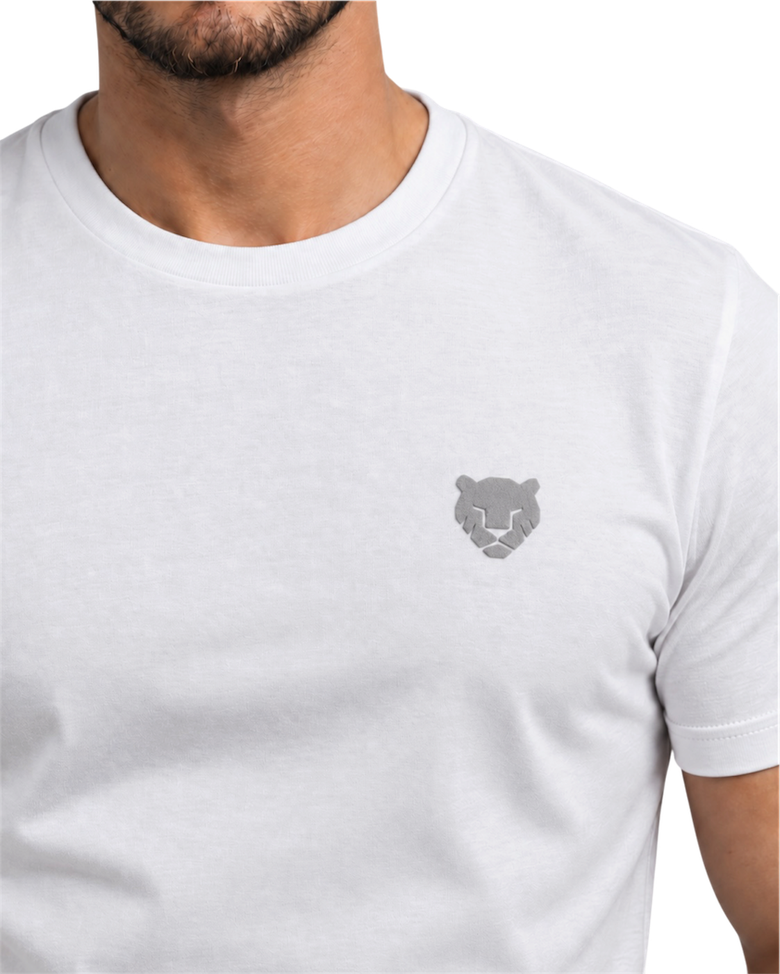 the foundation — white / silver