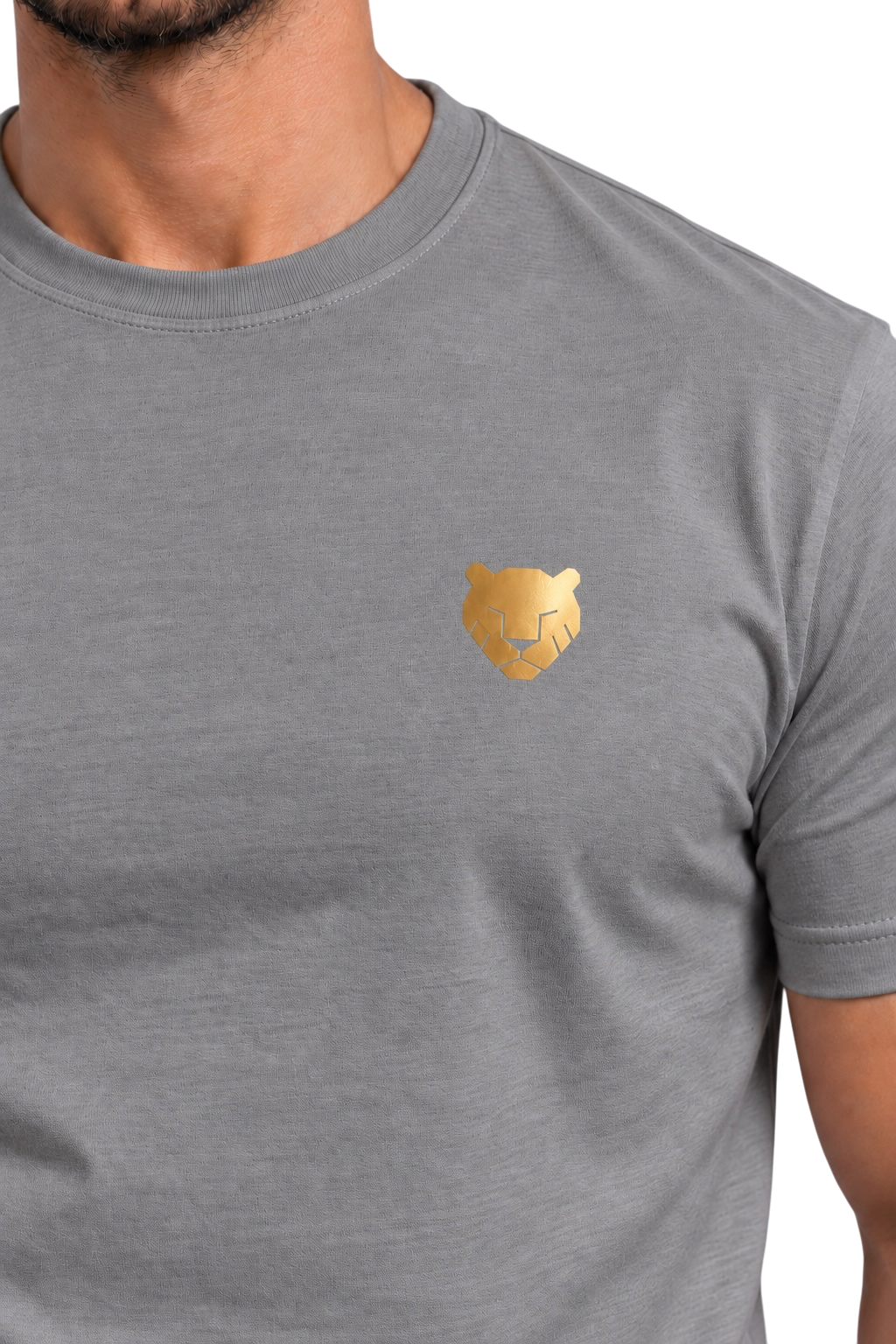 the foundation — grey / gold