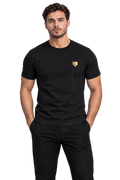 the foundation — black / gold