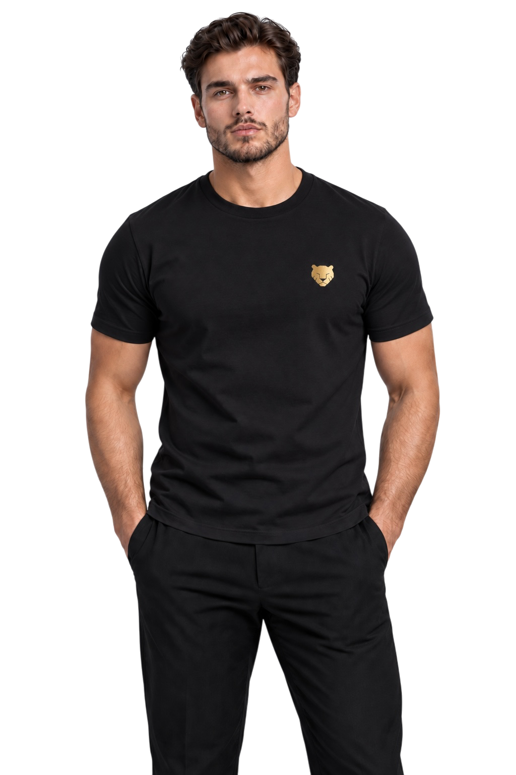 the foundation — black / gold